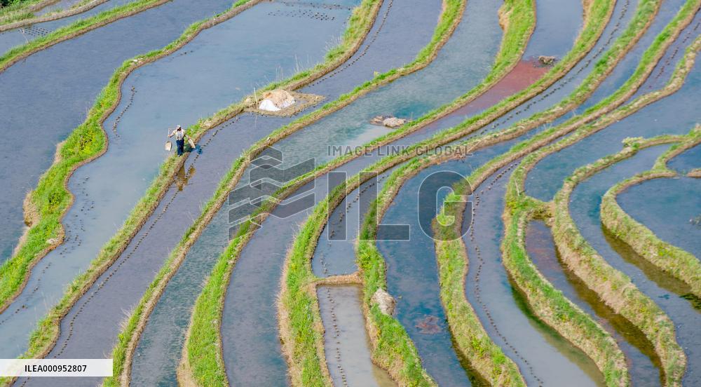 #CHINA-SPRING FARMING (CN)