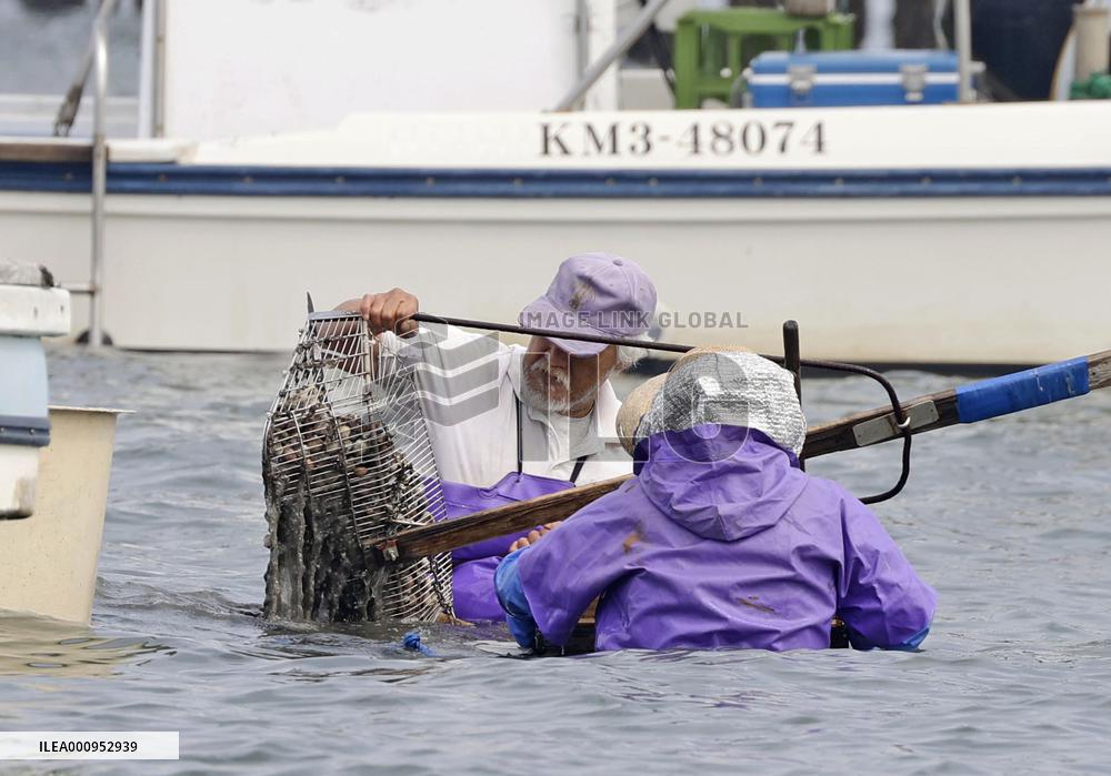 Clam farmers in Kumamoto