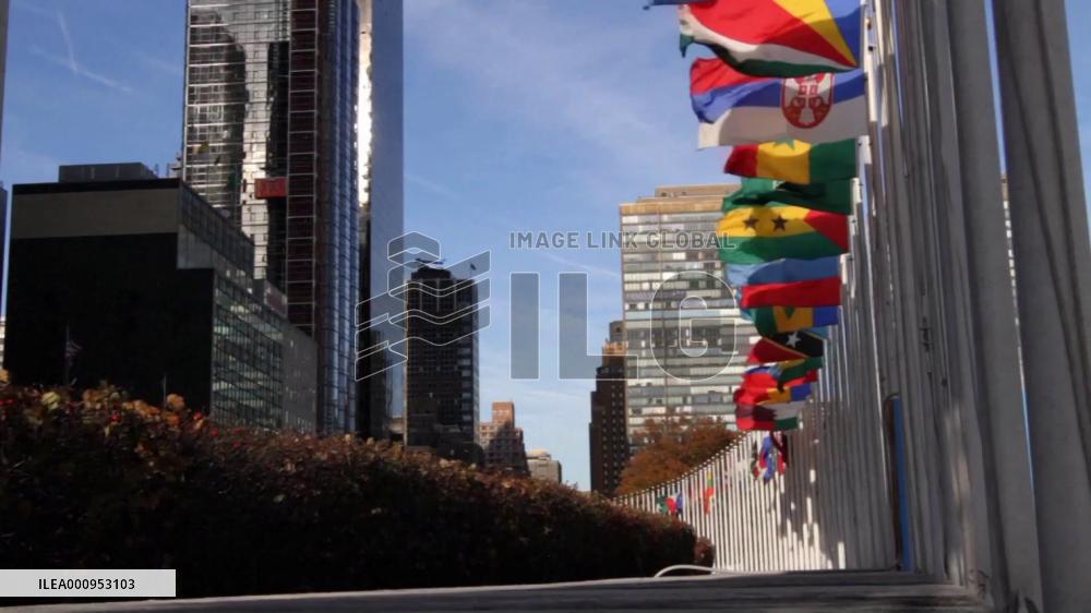 Chinese envoy calls for true multilateralism in fight against COVID-19