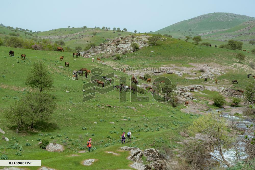 UZBEKISTAN-TASHKENT-SPRING VIEW
