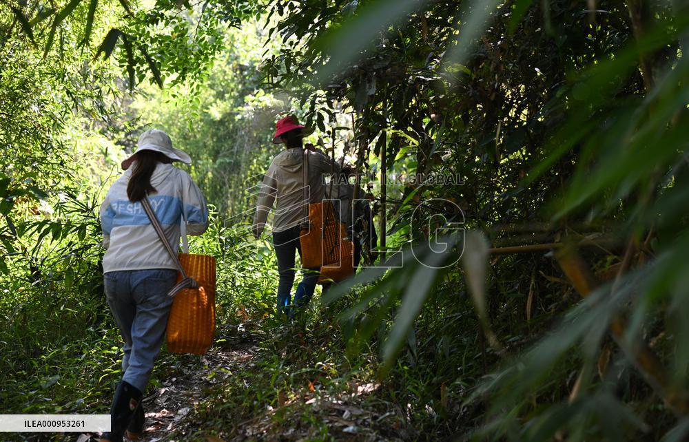 CHINA-HAINAN-MAONA VILLAGE-TOURISM-CULTURE (CN)