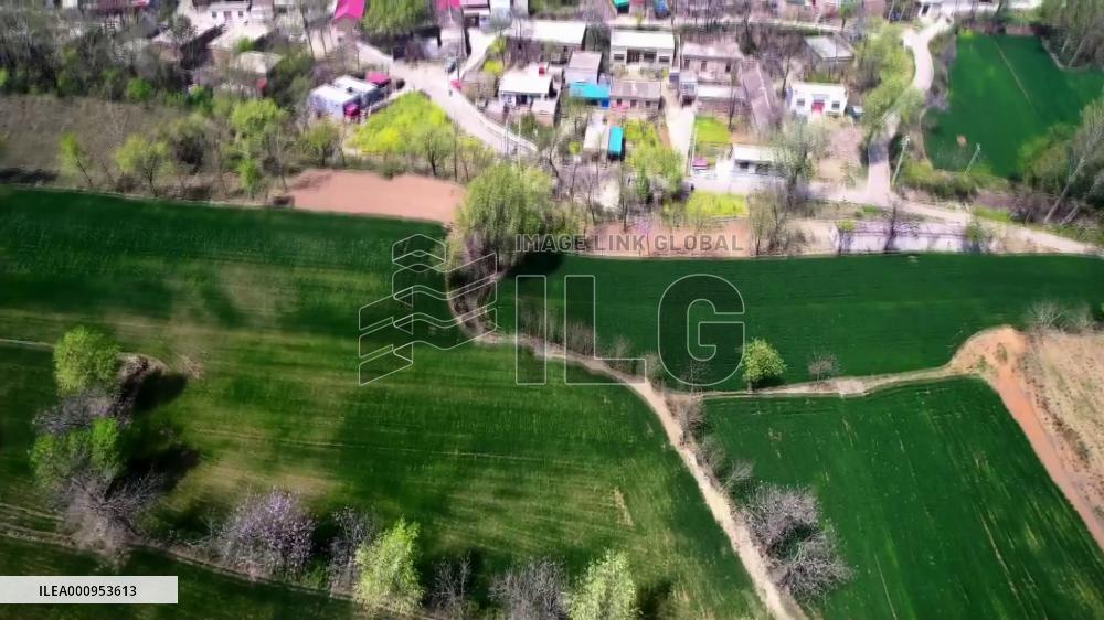 Zimbabwean expat helps fight epidemic in central China village