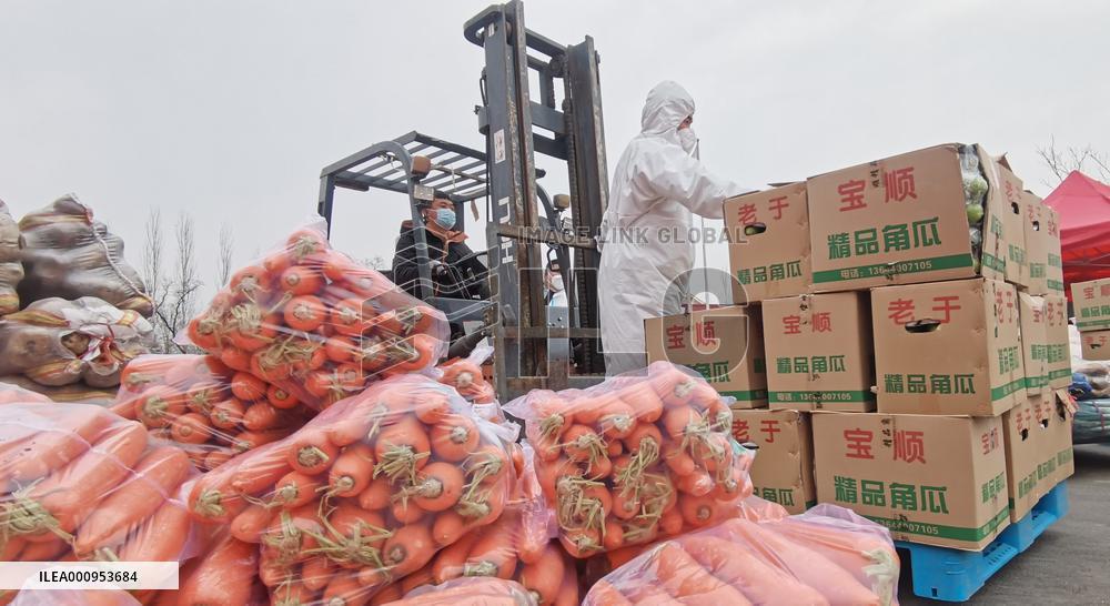 CHINA-LIAONING-SHANGHAI-FOOD-SUPPORT (CN)