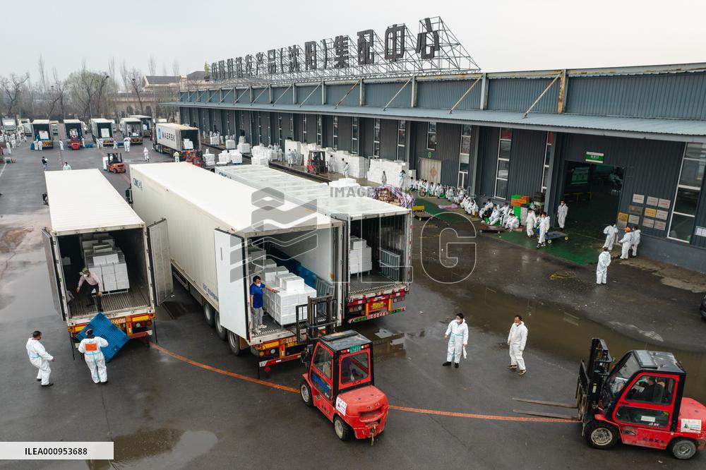 CHINA-LIAONING-SHANGHAI-FOOD-SUPPORT (CN)