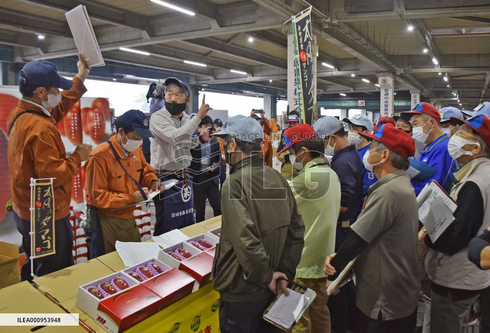 Mangoes made in southwestern Japan