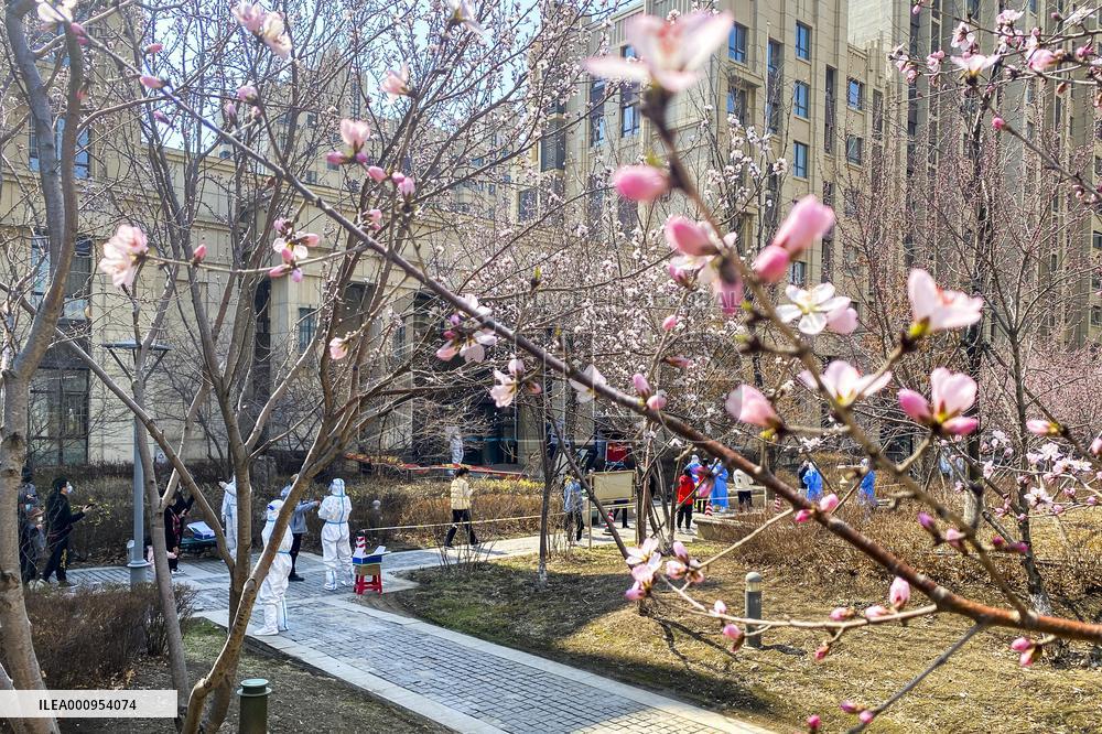 CHINA-JILIN-CHANGCHUN-COVID-19 (CN)