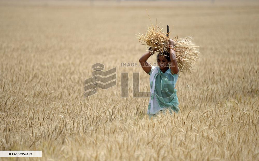 KASHMIR-JAMMU-BAISAKHI FESTIVAL