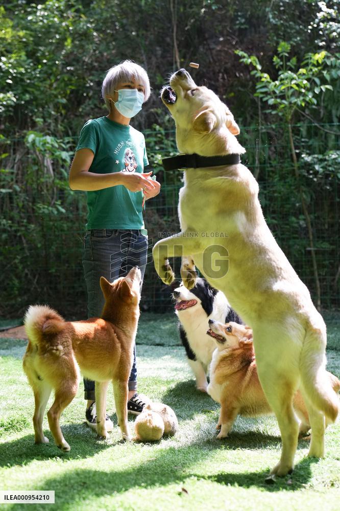 CHINA-HUNAN-CHANGSHA-PET-CARE SERVICE (CN)