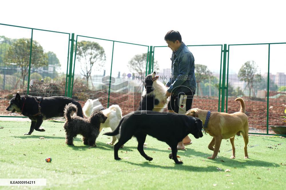 CHINA-HUNAN-CHANGSHA-PET-CARE SERVICE (CN)