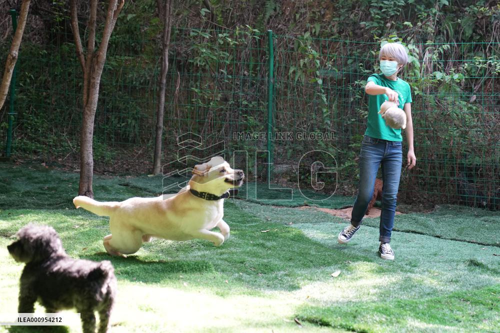CHINA-HUNAN-CHANGSHA-PET-CARE SERVICE (CN)