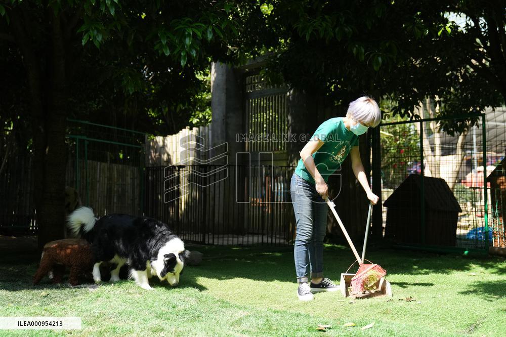 CHINA-HUNAN-CHANGSHA-PET-CARE SERVICE (CN)