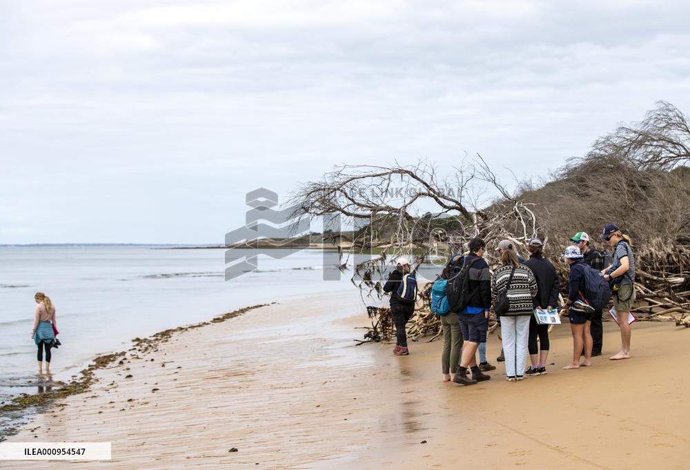 AUSTRALIA-MELBOURNE-TOURISM-EASTER-BOOMING