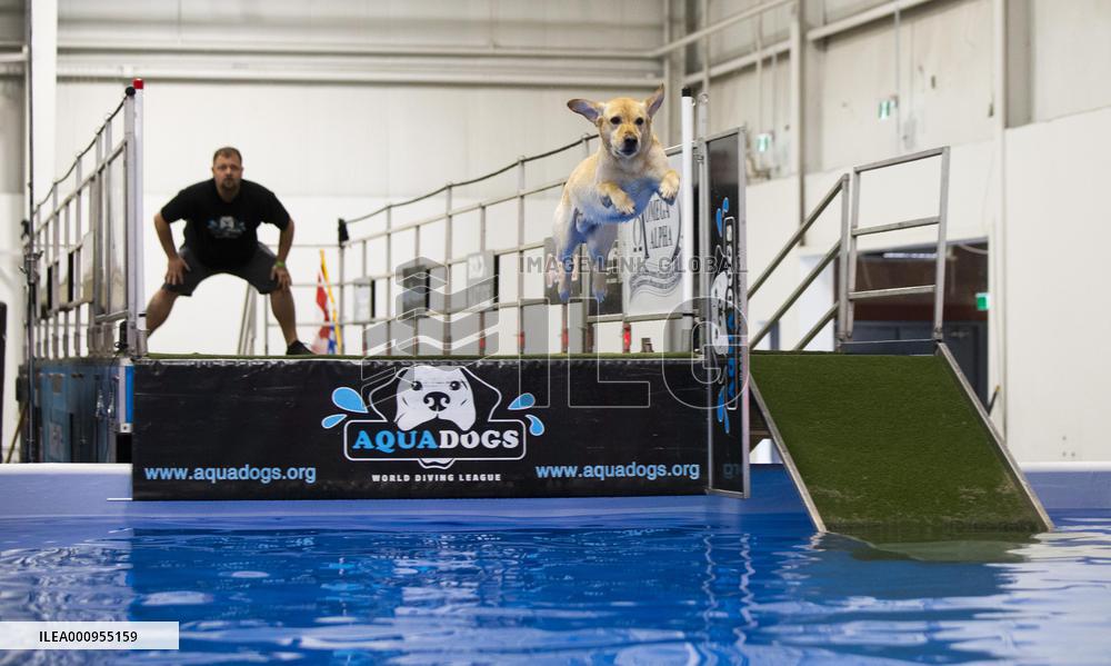 CANADA-MISSISSAUGA-DOG DOCK DIVING