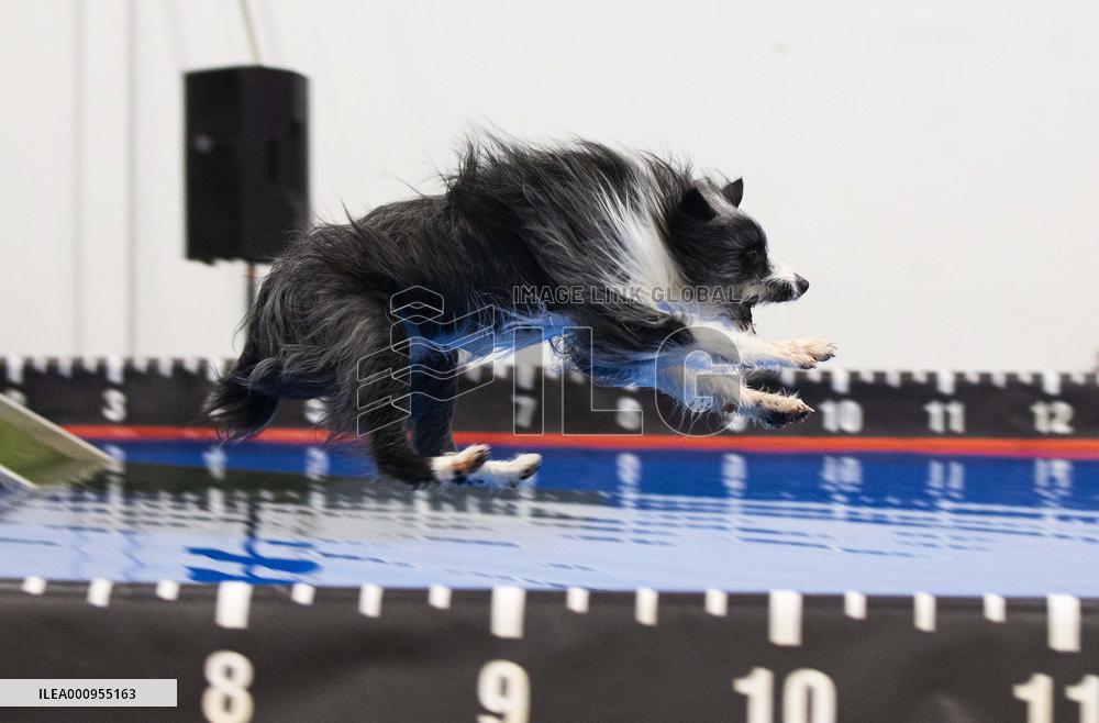 CANADA-MISSISSAUGA-DOG DOCK DIVING