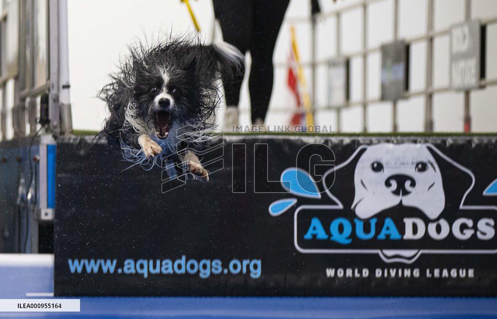 CANADA-MISSISSAUGA-DOG DOCK DIVING