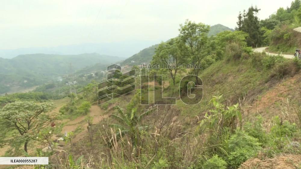 Marine reptile fossil dating back 250 million years found in south China