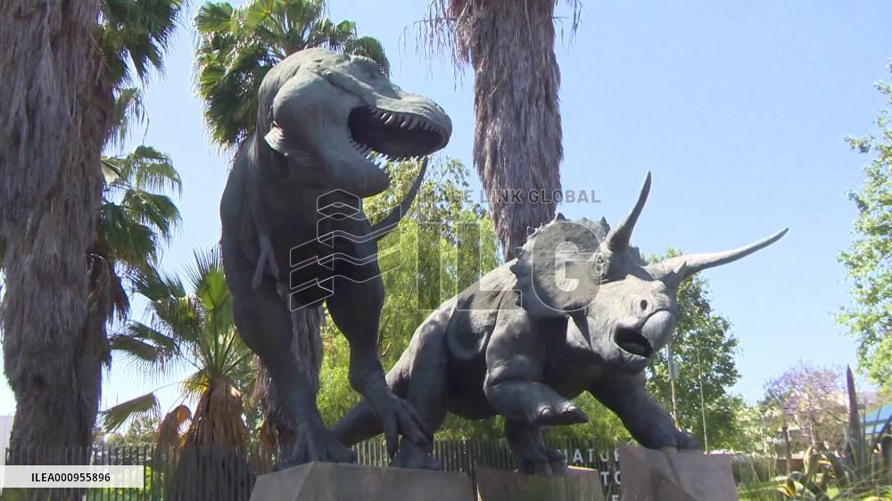 Butterfly exhibition resumes in U.S. Los Angeles amid pandemic