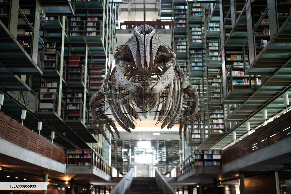 MEXICO-MEXICO CITY-VASCONCELOS LIBRARY