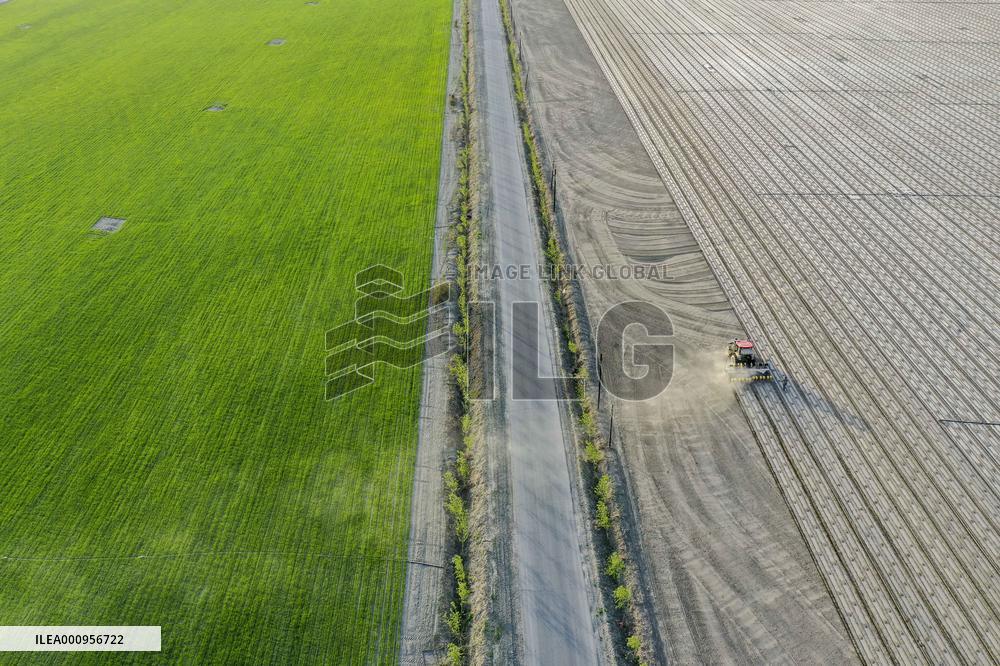 CHINA-XINJIANG-COTTON FARMING (CN)