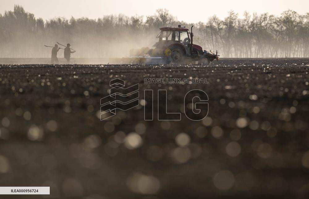 CHINA-XINJIANG-COTTON FARMING (CN)
