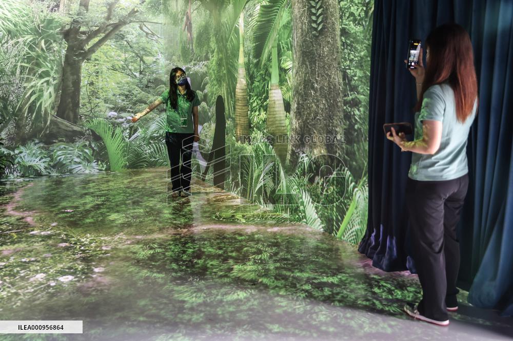 CHINA-HAINAN-BOAO FORUM-RAINFOREST-CULTURE EXHIBITION (CN)