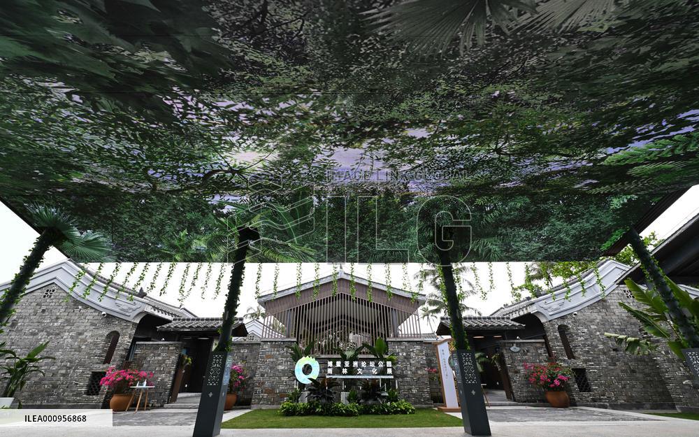 CHINA-HAINAN-BOAO FORUM-RAINFOREST-CULTURE EXHIBITION (CN)