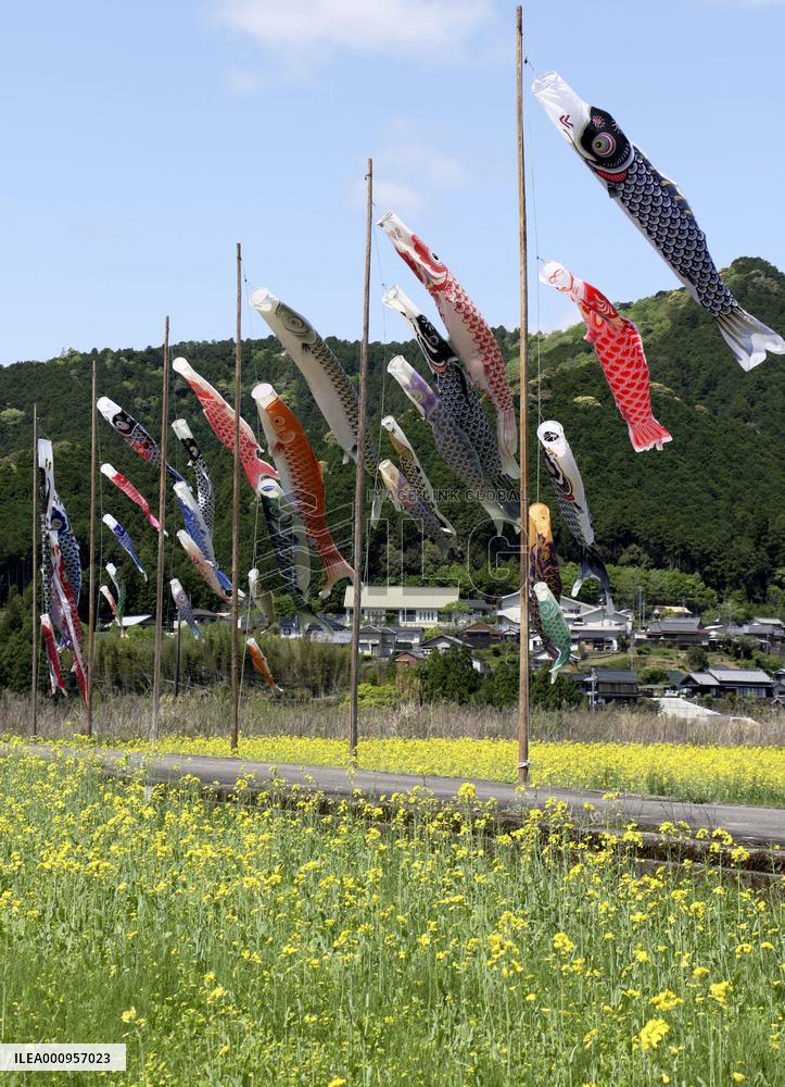 Carp streamers in western Japan