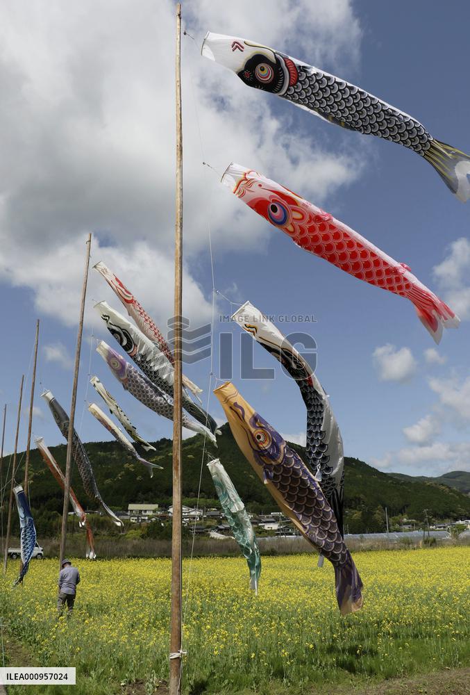 Carp streamers in western Japan