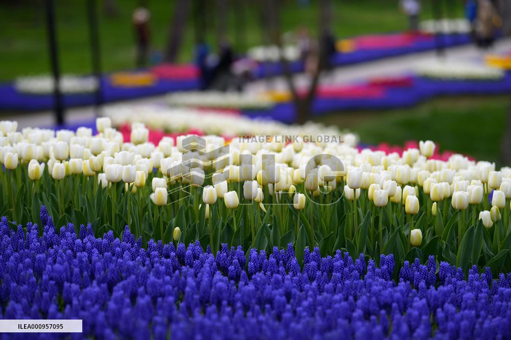 TURKEY-ISTANBUL-WORLD EARTH DAY