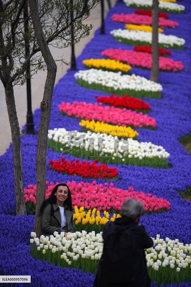TURKEY-ISTANBUL-WORLD EARTH DAY