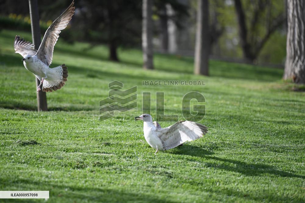 TURKEY-ISTANBUL-WORLD EARTH DAY