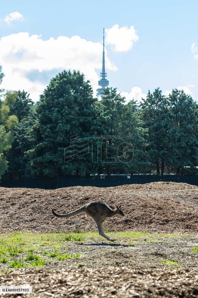 AUSTRALIA-CANBERRA-WORLD EARTH DAY