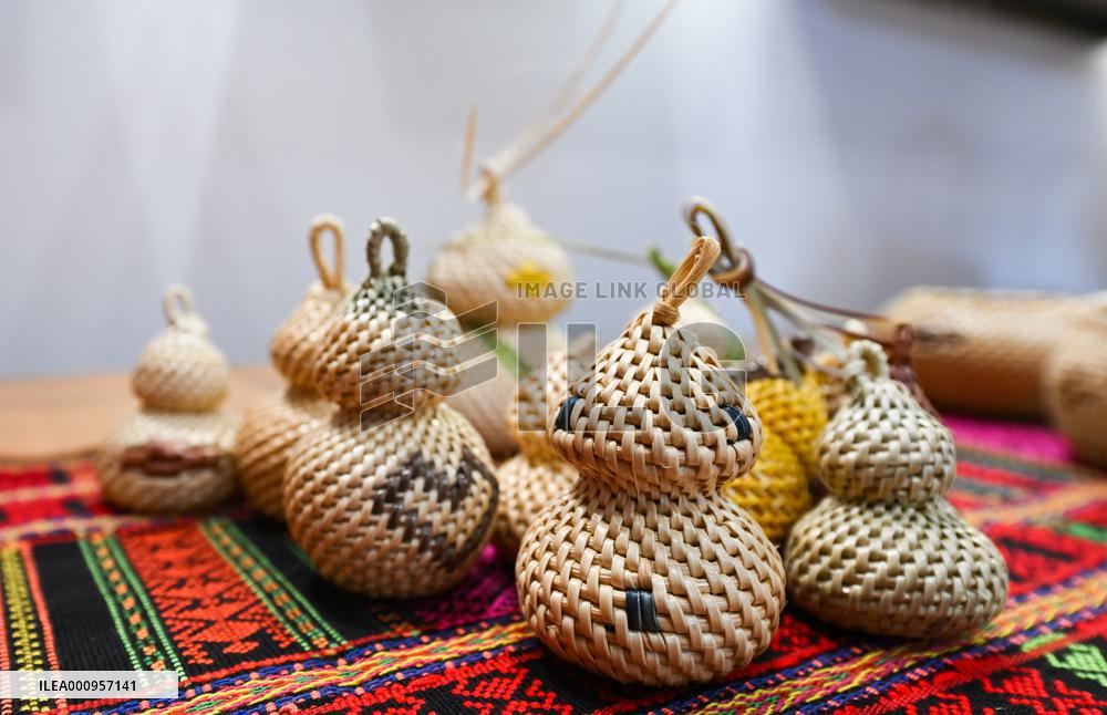 CHINA-HAINAN-BOAO FORUM FOR ASIA-INTANGIBLE CULTURAL HERITAGE (CN)