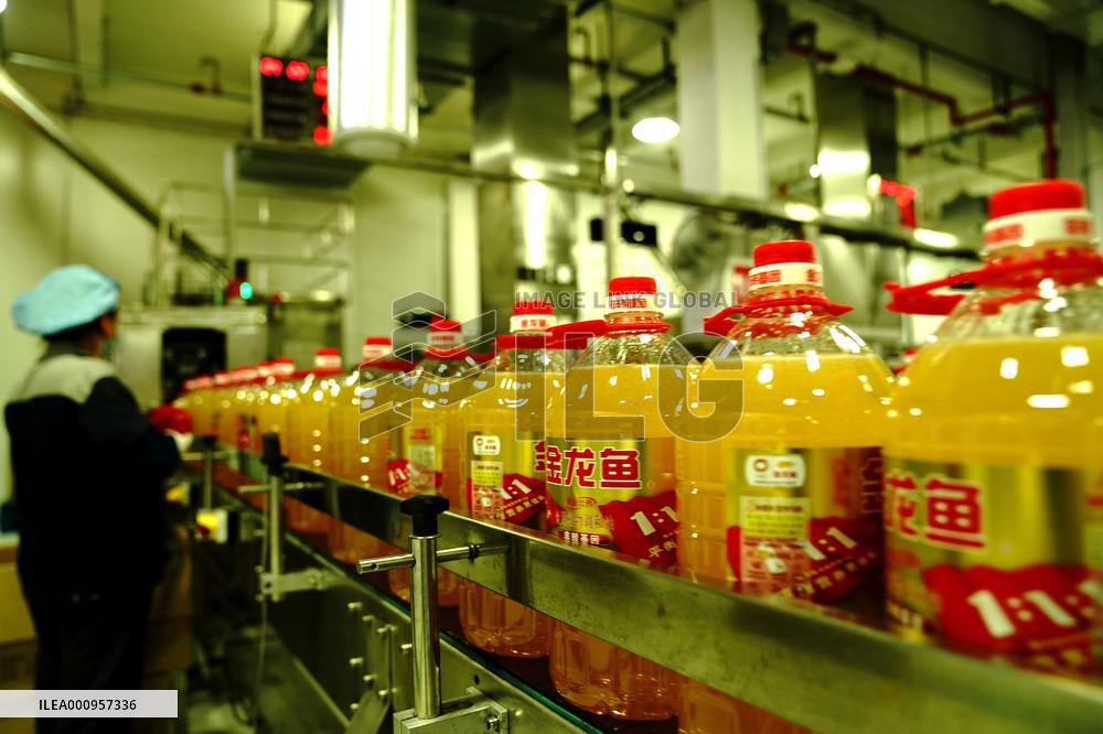 CHINA-SHANGHAI-ENTERPRISES-PRODUCTION-RESUMPTION (CN)