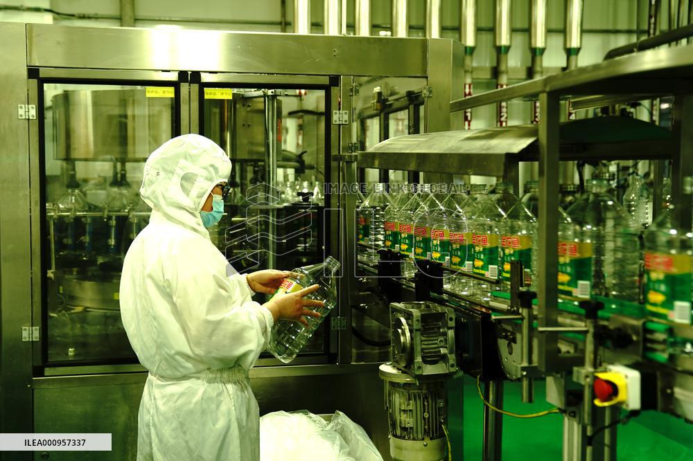 CHINA-SHANGHAI-ENTERPRISES-PRODUCTION-RESUMPTION (CN)