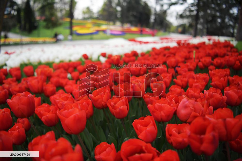 TURKEY-ISTANBUL-PARK