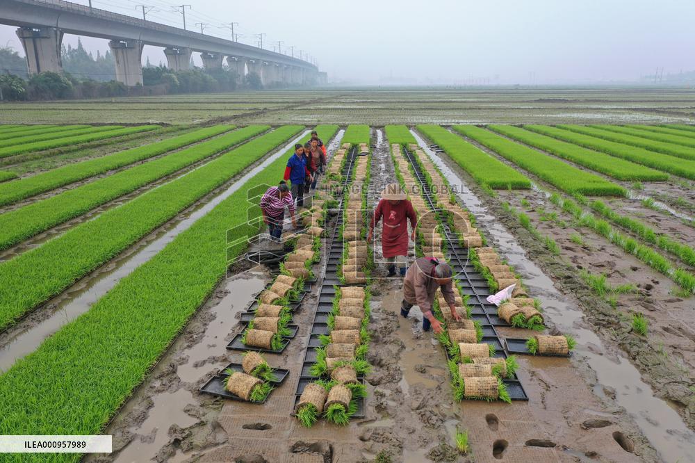 #CHINA-AGRICULTURE-SPRING-FARMING (CN)