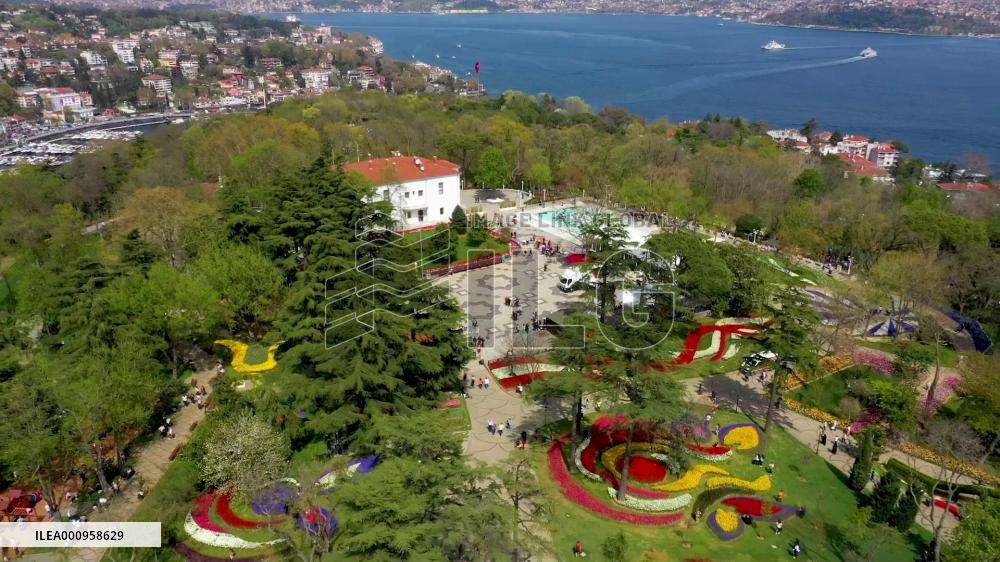 Tulip Festival in Istanbul feasts Turks' eyes on colorful flowers