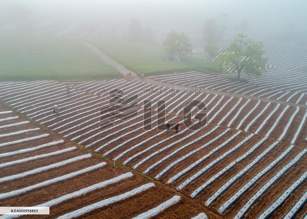 #CHINA-SHAANXI-LUEYANG-TERRACED FIELDS (CN)