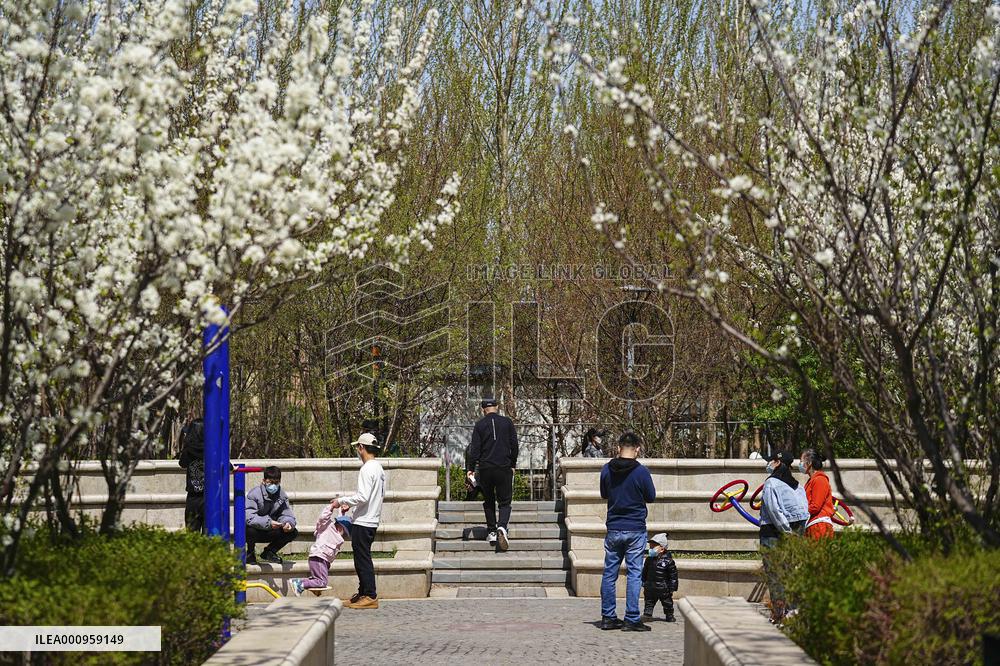 CHINA-JILIN-CHANGCHUN-COVID-19-MANAGEMENT MEASURES (CN)