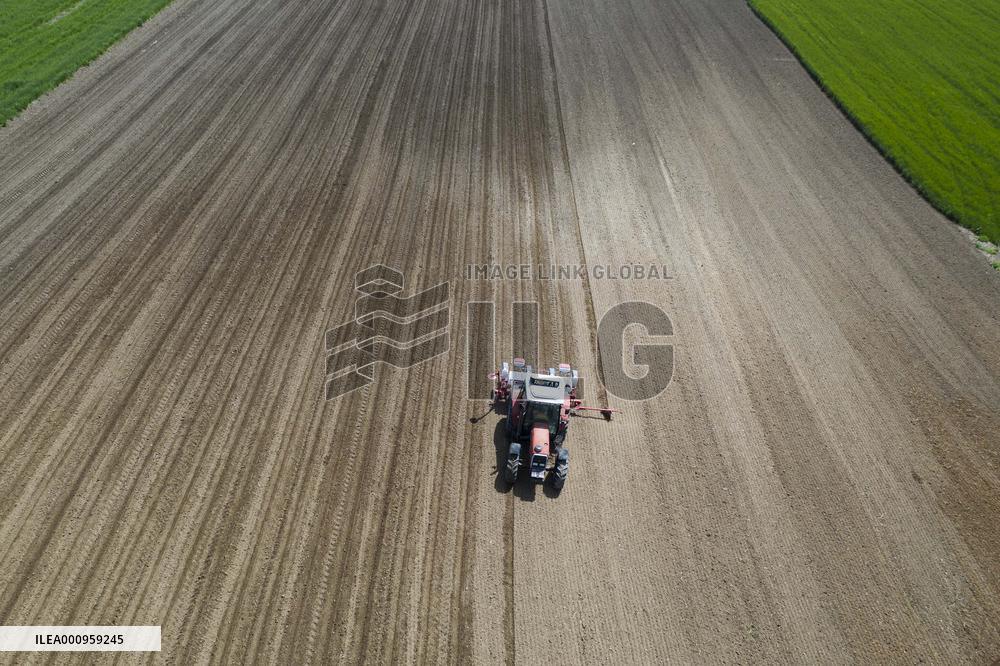 GREECE-THESSALONIKI-COTTON-SEEDING