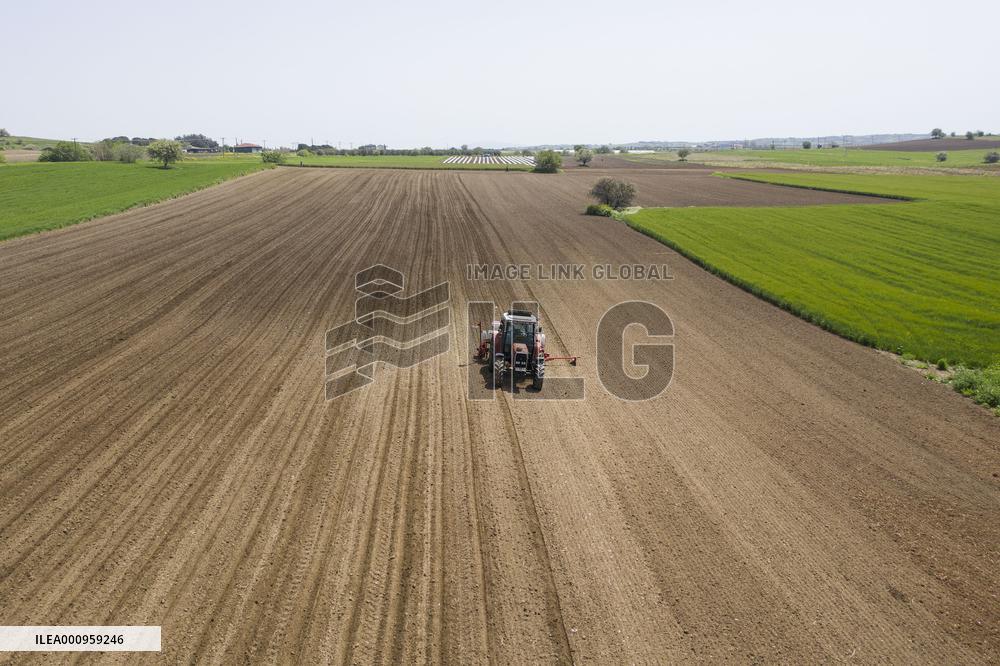 GREECE-THESSALONIKI-COTTON-SEEDING
