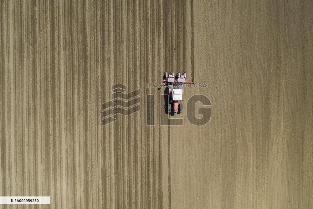 GREECE-THESSALONIKI-COTTON-SEEDING