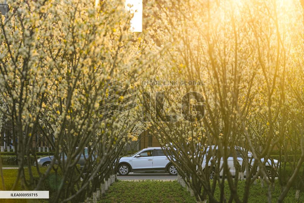 CHINA-JILIN-CHANGCHUN-DAILY LIFE (CN)