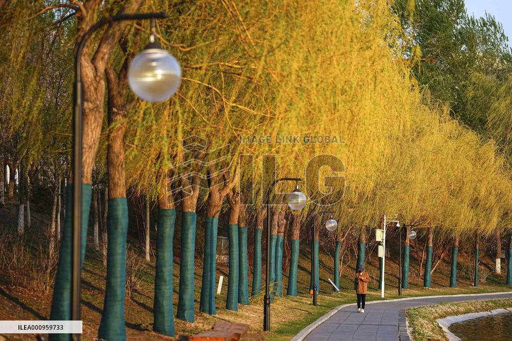 CHINA-JILIN-CHANGCHUN-DAILY LIFE (CN)