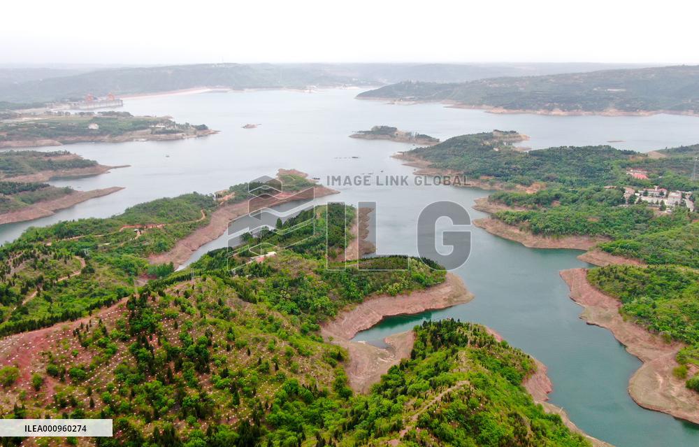 CHINA-HENAN-YELLOW RIVER-SPRING SCENERY (CN)