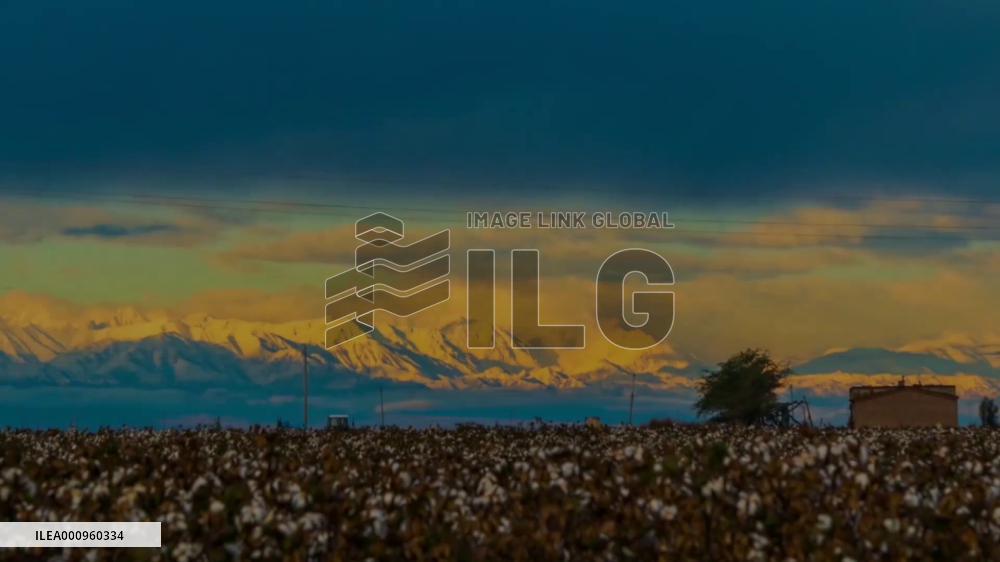 GLOBALink | Xinjiang, My home: Aspiring working people