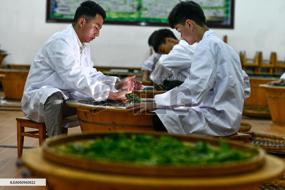 CHINA-GUIZHOU-TEA TECHNICIAN (CN)