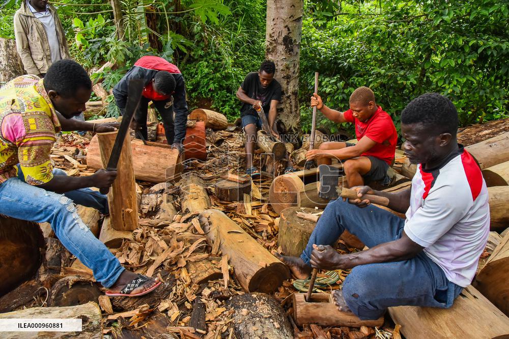 CAMEROON-CENTRE REGION-TAM-TAM MAKING