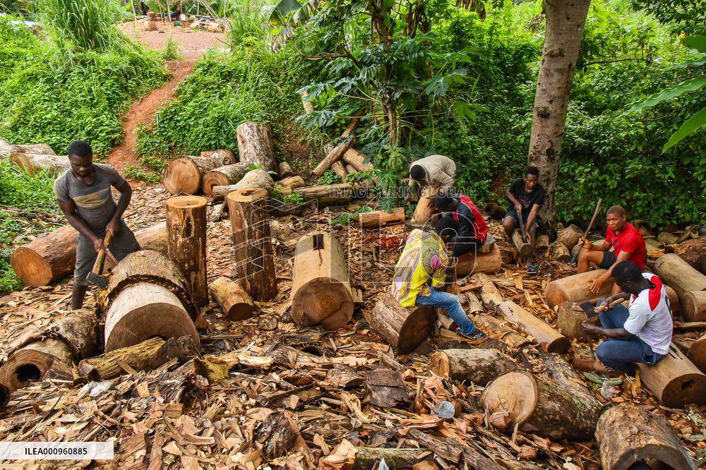 CAMEROON-CENTRE REGION-TAM-TAM MAKING